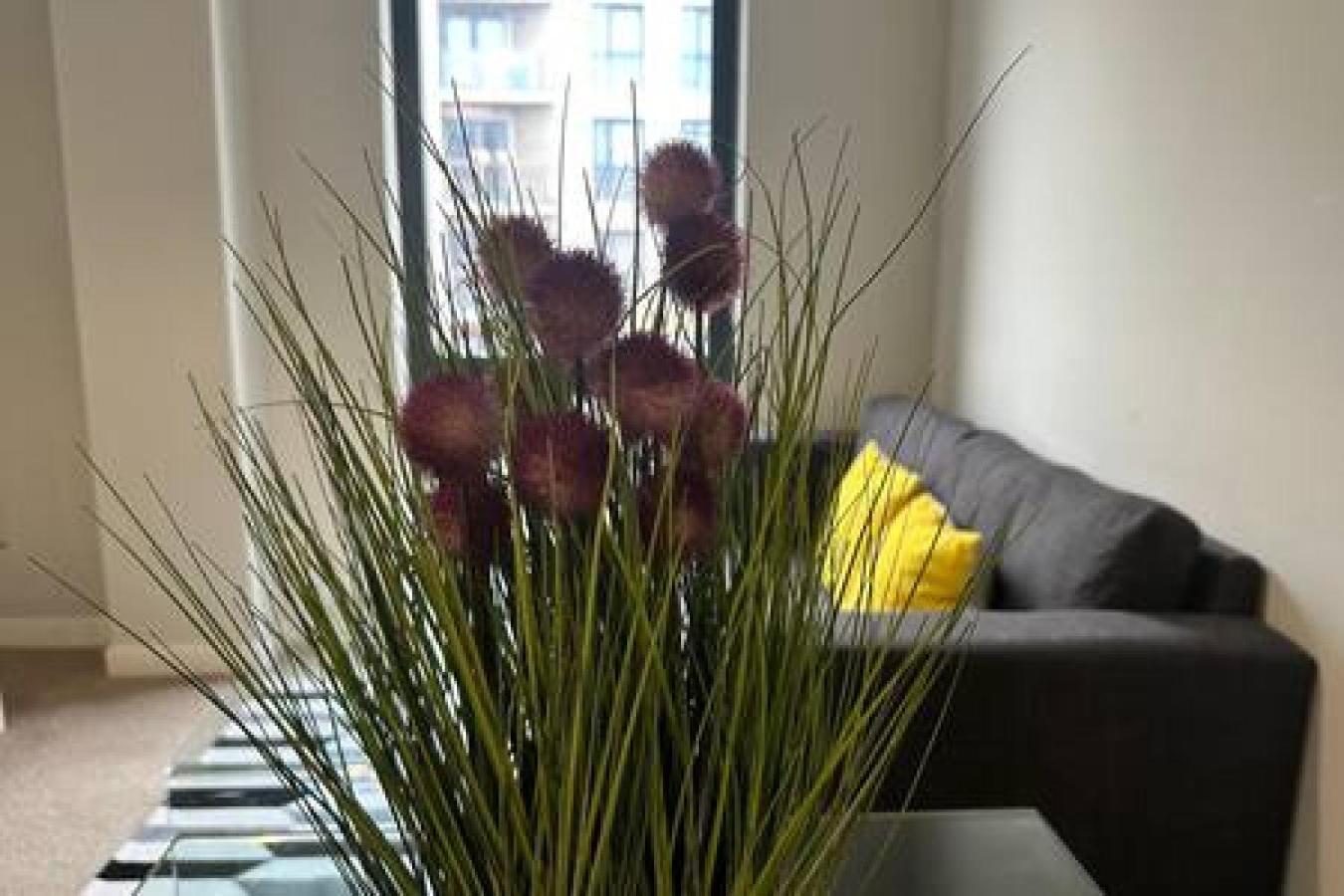 Apartment Modern 1 Bed Sleeps 2
